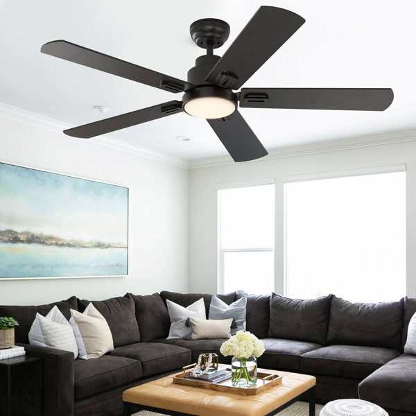 Ebern Designs 62 Inch Indoor Ceiling Fans with Lights and Remote
